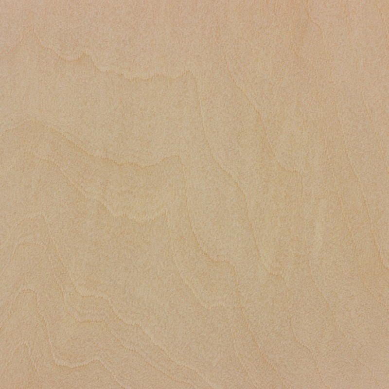 Basswood sample
