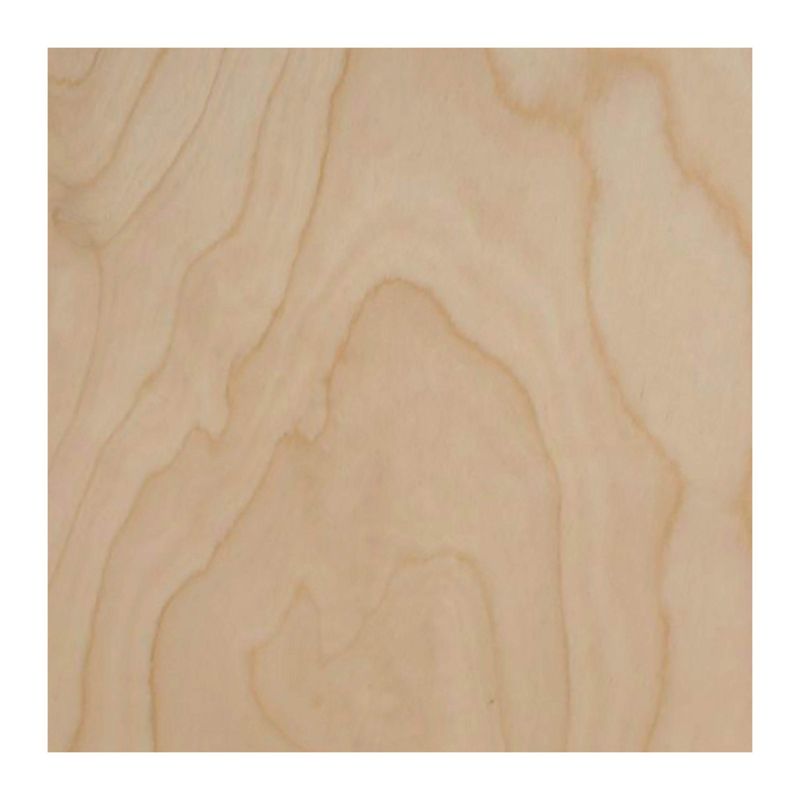 Birch plywood sample